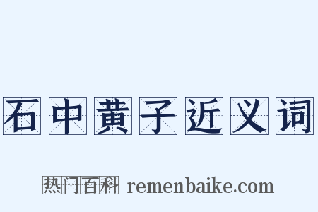 石中黄子近义词是什么意思的图片